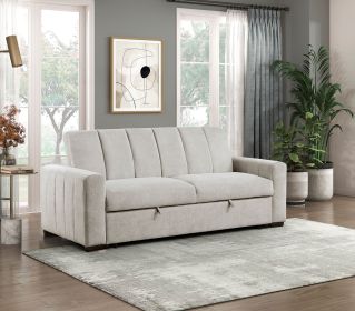 Transitional Style Convertible Sofa with Pull-Out Bed Light Gray Upholstery Solid Wood Living Room Furniture 1pc