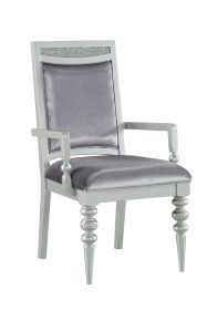 Maverick Fabric & Platinum Finish Arm Chair (Set of 2)